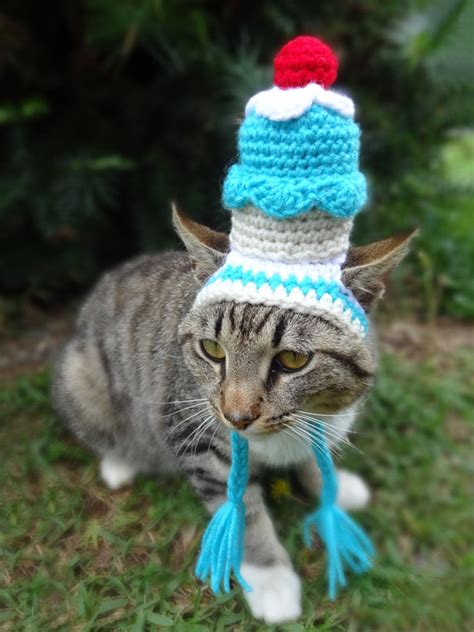 The Nature Of Things Cats In Hats