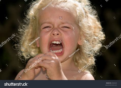 Screaming Little Girl Stock Photo 2592224 Shutterstock