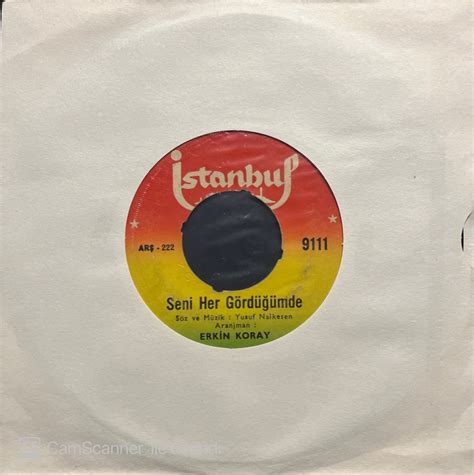 Erkin Koray Seni Her Gördüğümde 45lik Plak
