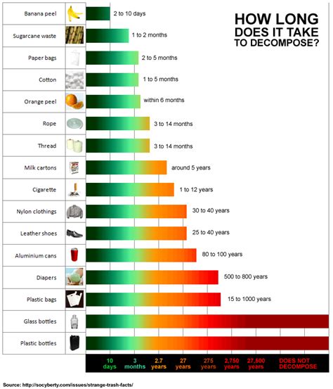 How Long Does Rubbish Take To Break Down At Aura Roman Blog