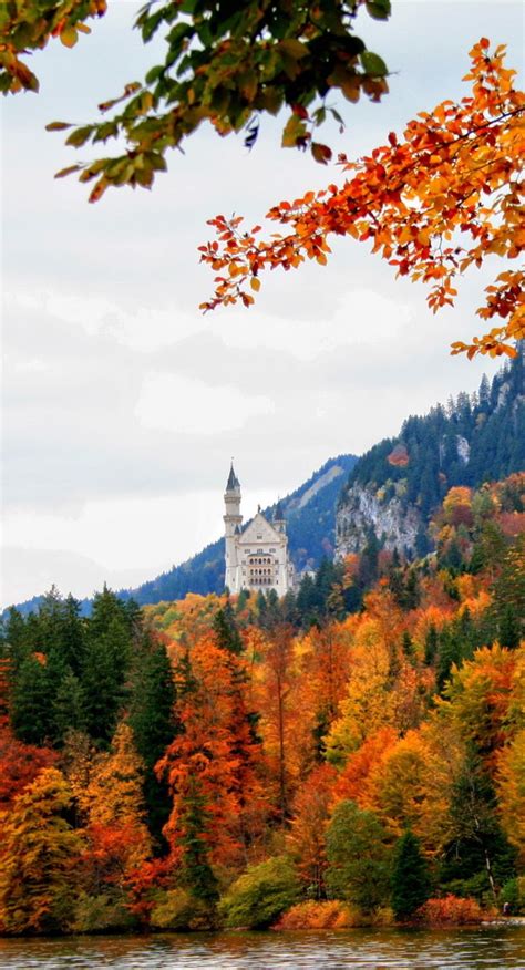 Autumn Neuschwanstein Castle Germany