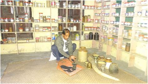 Advantages of seed banks are:1. Community Seed Bank- An effort in Govindpur (Uttarakhand ...