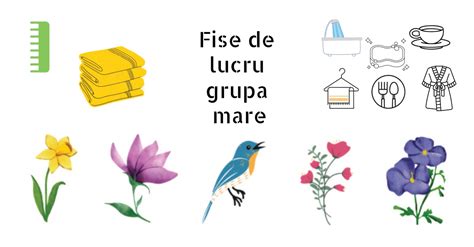 Fise De Lucru Pentru Grupa Mare Gradinita