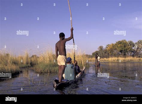 Africa Botswana Okavango Delta Tourists In Mokoro Dugout Canoe Stock