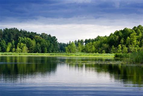 Score a close parking spot at fish place. Top 6 Best Places To Go Magnet Fishing | Guide