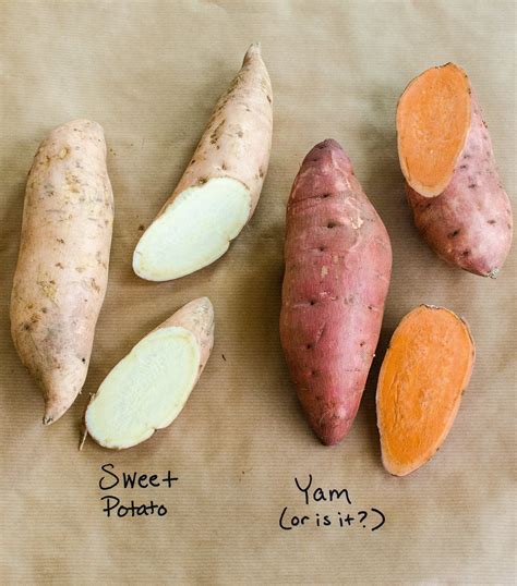Whats The Difference Between Yams And Sweet Potatoes Kitchn