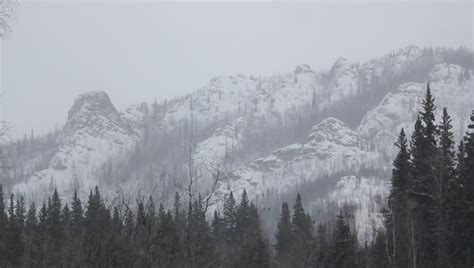 Remembering the storm on its 35th anniversary. Snowfall Mountains Alaska. Snowcapped Mountains And Trees ...