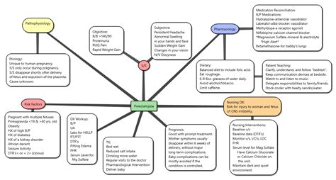 Nursing Student Labor And Delivery Concept Map
