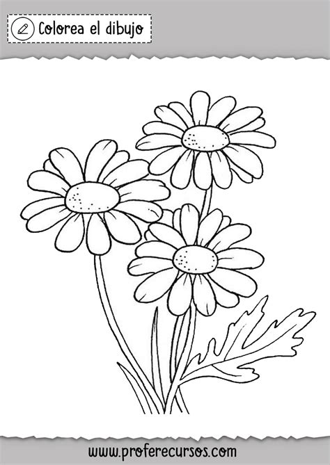 Dibujos de Flores para Colorear y Pintar