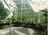 Images of O Ford University Botanical Gardens