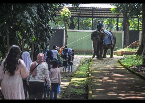 Wisata Di Bandung Zoological Garden | ANTARA Foto