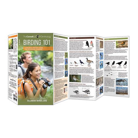 Birding 101 A Folding Pocket Guide For Beginning Birders Waterford