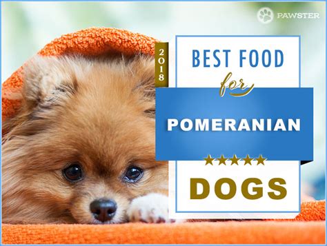 It is especially important they nurse from the weaning your puppy to solid food should not be an overnight endeavor but should ideally take place over the course of two to three weeks. 8 Best Pomeranian Dog Foods for Adult and Puppy Pomeranians