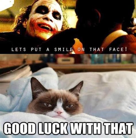 Grumpy Cat Quotes Funny Grumpy Cats And A Smile On Pinterest