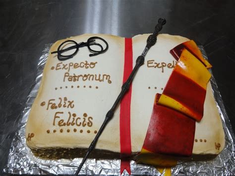 Cakes that look like books. Harry Potter Cake. I still think mine and Alli's open book cake was better | Open book cakes ...