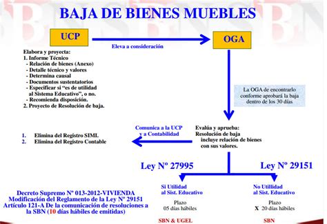 Procedimientos Para La Baja De Bienes Muebles Del Estado Gubernamental