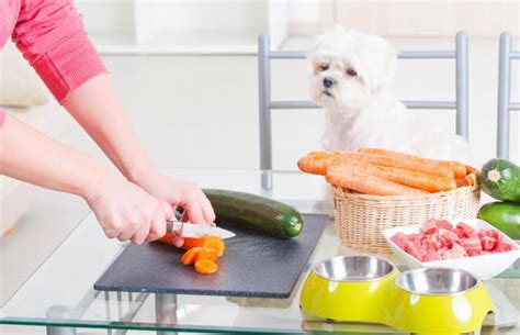 Dog owner's home veterinary handbook 4th edition (wiley publishing. Tips for Making Home Cooked Dog Food | LoveToKnow | Home ...