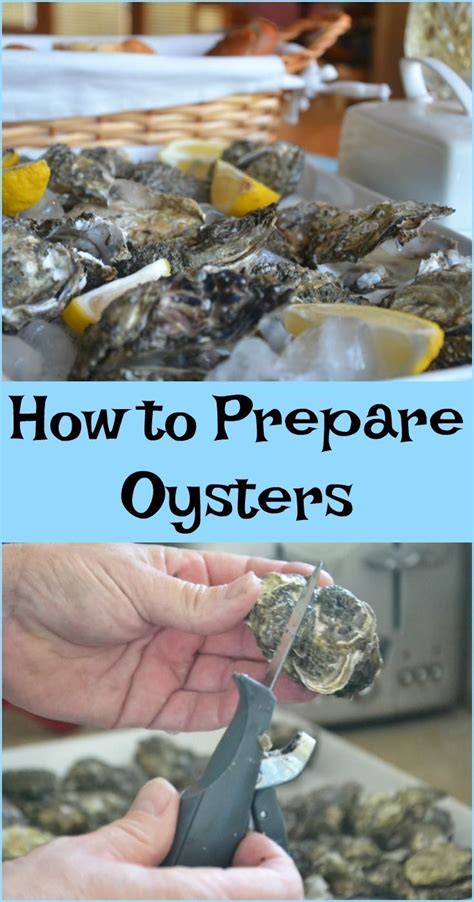 How To Prepare Oysters In Easy Steps And Helpful Video Too Oyster