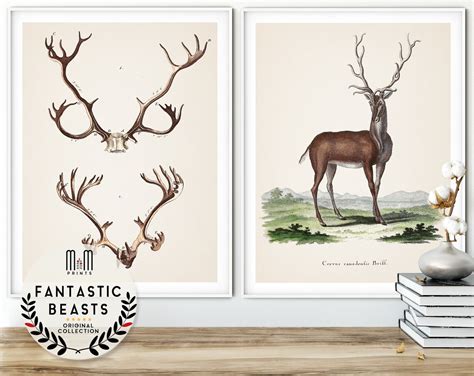 Stag Print Deer Antlers Elk Poster Woodland Nursery Wall Art Etsy