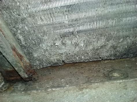 Locate the evaporator coil in the ac panel. Dirty A/C evaporator coil in apartment - DoItYourself.com ...