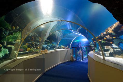 Images Of Birmingham Photo Library Sea Life Centre In Brindleyplace