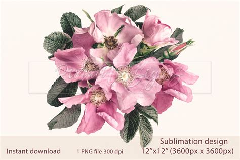 Floral Sublimation Design Bouquet Of Pink Roses Png 1088976