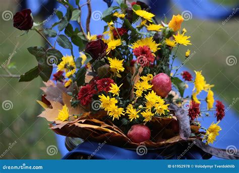 Beautiful Autumn Bouquet Stock Photo Image Of Blue Chrysanthemum