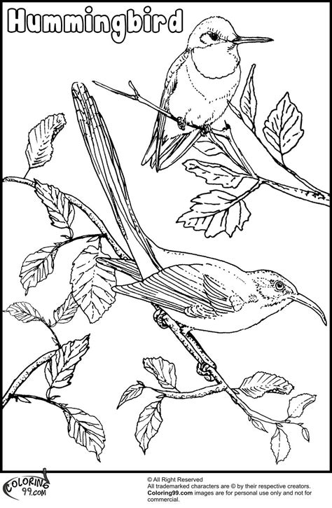 All hummingbird coloring pages are free and printable. Humming Bird Coloring Page - Coloring Home