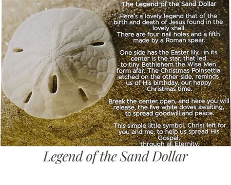 The Legend Of The Sand Dollar From Farmhouse To Florida