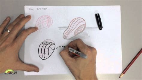 20,000+ vectors, stock photos & psd files. Organic Shapes Drawing at PaintingValley.com | Explore ...