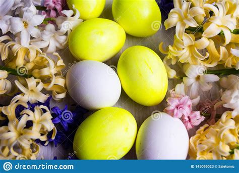 Easter Eggs And Hyacinth Spring Flowers Stock Image Image Of Color