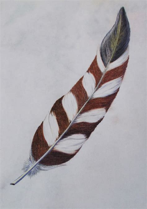 Jelart Creations Feather Sketch