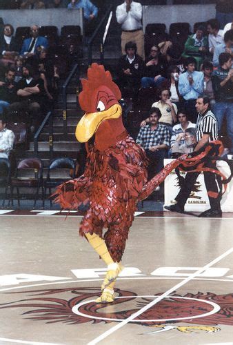 Usc Big Spur Was Mascot For The University Of South Carolina Gamecocks From 1974 1979 South