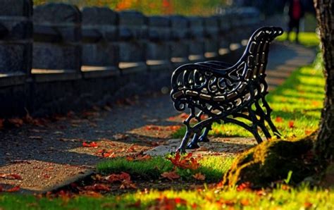 Alone Autumn Park Bench Wallpapers