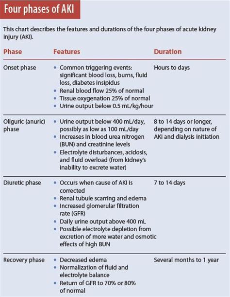 Four Phases Of Aki Acute Kidney Injury Nursing