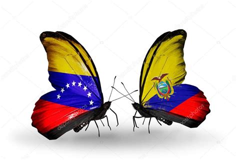 La crisis política y humanitaria que atraviesa venezuela ha acelerado la cantidad de venezolanos que huyen del país, incluidas personas que migran hacia ecuador. Imágenes: bandera de venezuela y ecuador | mariposas con ...