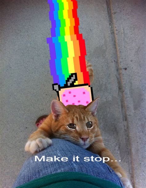 Irti Funny Picture 808 Tags Nyan Cat Make It Stop