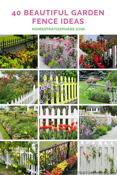 Những Mẫu Decorative Garden Fence đẹp Cho Khu Vườn Của Bạn