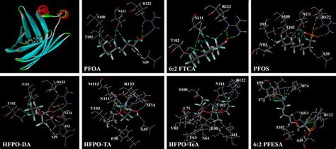 A pfa document is a json document with additional constraints. Proposed binding modes between the hL-FABP protein and ...