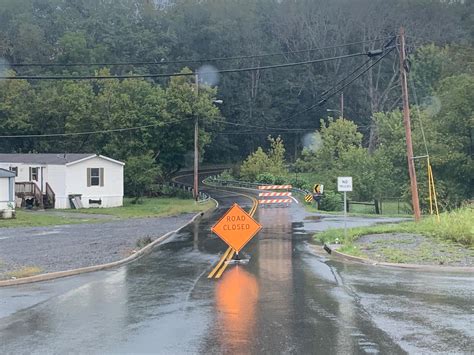 Fallen tree closes Green Spring Road in Abingdon | WJHL | Tri-Cities