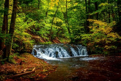 wallpaper landscape waterfall nature plants river