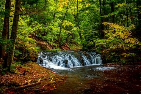 Wallpaper Landscape Waterfall Nature Plants River