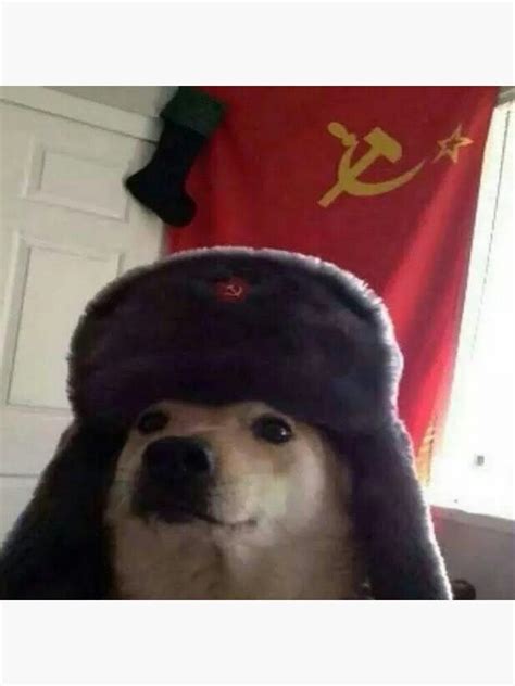 You See Comrade Its Communist Dog Born In 1915 And Very Love Lenin And