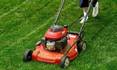 5 Best Mulching Lawn Mowers 2023 Reviews And Buying Guide