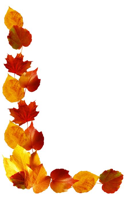 Fall Leaves Border Png Fall Leaves Border Png Transparent Free For