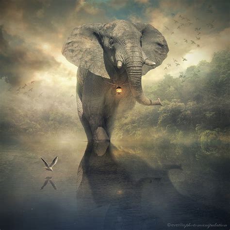 The Elephant Imagination Art Surreal Photo Manipulation Elephant
