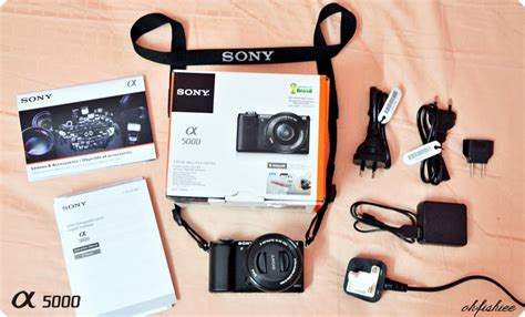 Oh Fish Iee Review Sony Alpha 5000 Lightest Interchangeable Lens Camera