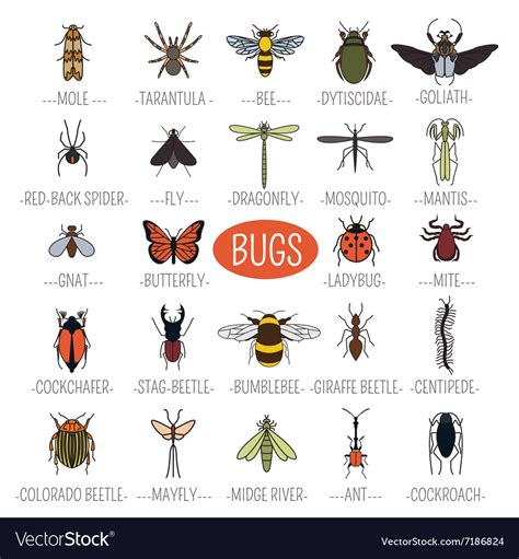 Insects Icon Flat Style 24 Pieces In Set Colour Vector Image