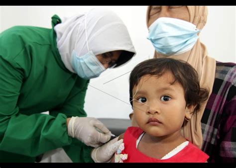 Imunisasi Lengkap Untuk Anak Antara Foto