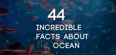 We Have Created This List Of Interesting Facts About The Ocean To